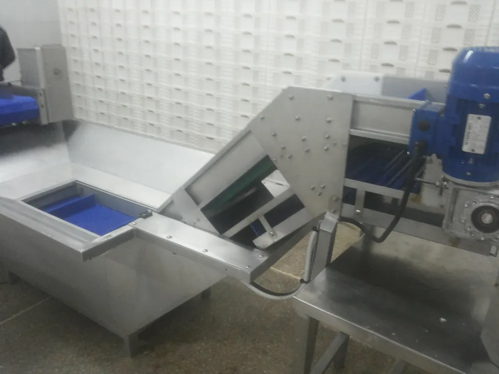 Ligne de lavage en inox avec bac et convoyeur