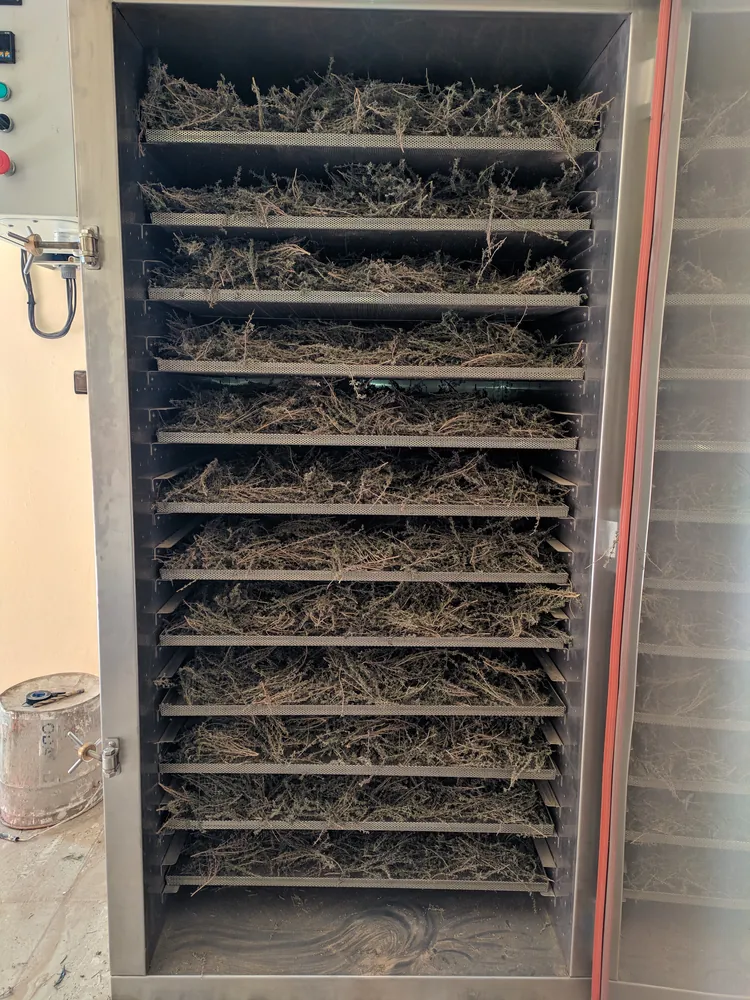 Séchoir à plateaux avec produit