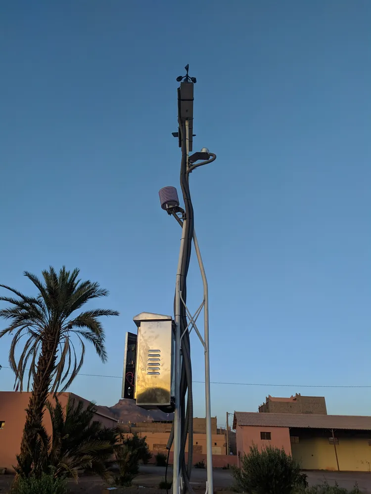 Station météo près d'un palmier